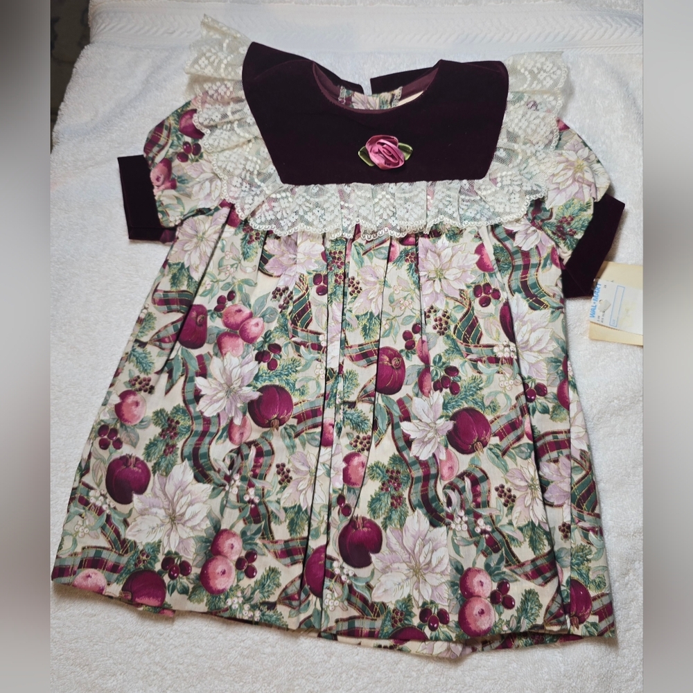 Little Precious Burgandy Velvet Infant 18 Months Dress White Lace NWT